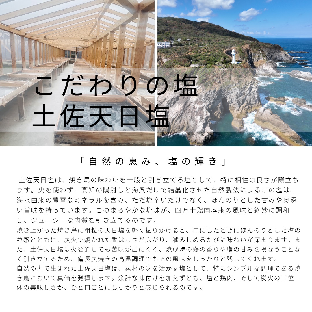 土佐備長炭焼き 四万十鶏の焼き鳥 25本 塩 もも肉 冷凍 惣菜 調理済み【R01442】