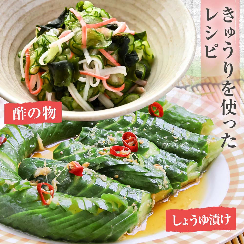 きゅうり 5kg 5キロ キュウリ 野菜 新鮮 サラダ 漬物 浅漬け ぬか漬け 酢の物 炒め物 健康 高知県 土佐清水市【R01452】