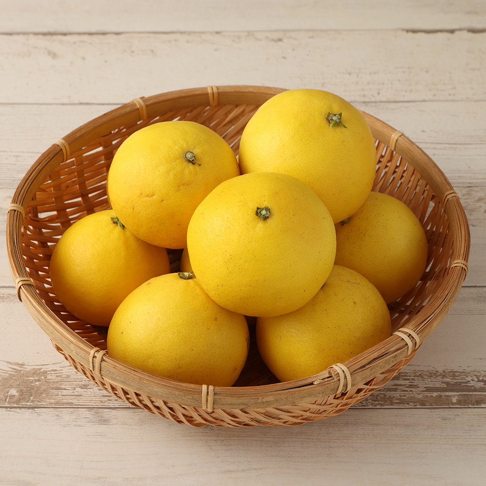 【先行予約】R8発送＜訳あり＞オレンジ園の小夏2.5kg 日向夏 みかん 柑橘 フルーツ 果物 こなつ ﾆｭｰｻﾏｰｵﾚﾝｼﾞ  旬 2.5キロ 美味しい 食感 常温 国産 訳あり 高知県 土佐清水市【R01499】