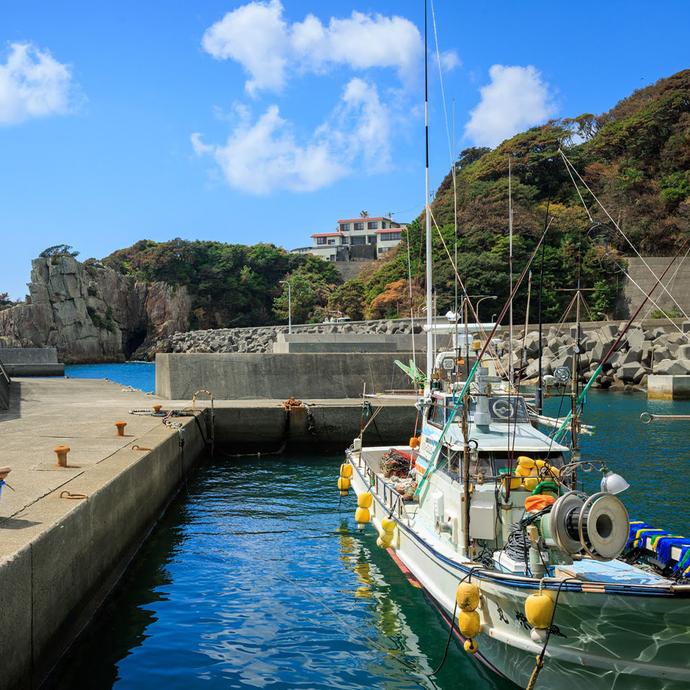 足摺地区 集落歩きツアー 2人分 観光 地元ガイド付き チケット あしずり岬 足摺半島 漁港 伊佐漁港 家族旅行 旅行 国内旅行 自然 神社 文化 徒歩 高知県 高知 土佐清水市 足摺岬【R01503】
