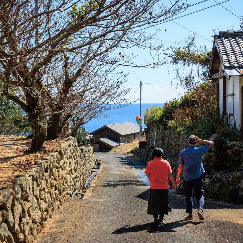 松尾地区 集落歩きツアー 2人分 観光 地元ガイド付き チケット アコウ 松尾天満宮 足摺半島 家族旅行 旅行 国内旅行 自然 神社 文化 徒歩 高知県 高知 土佐清水市【R01505】
