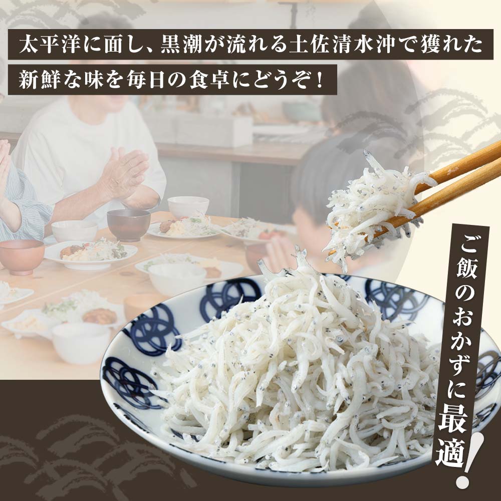 浜口海産物店のちりめんじゃこ（70ｇ× 8袋）小分けセット シラス 釜揚げ しらす丼 ちりめん丼 かちりじゃこ 詰め合わせ セット おつまみ 料理 地元特産 海産物 無添加 高知 【R01595】