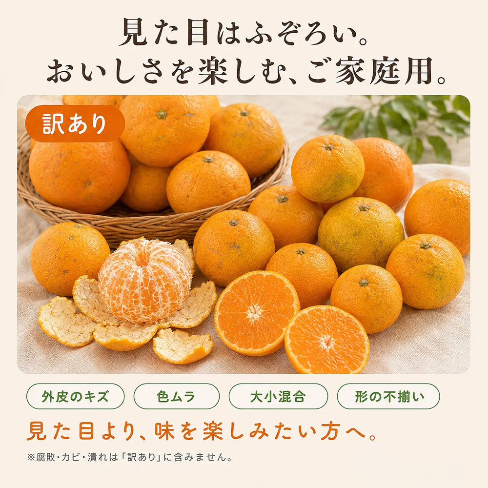 温州みかん 訳あり 1kg 傷み補償 300g 柑橘 果物 フルーツ 不揃い オレンジ 訳アリ 蜜柑 果実 みかん 極早生 早生 晩生 光センサー選果 みかん職人武田屋 高知県 土佐清水市【R01786】