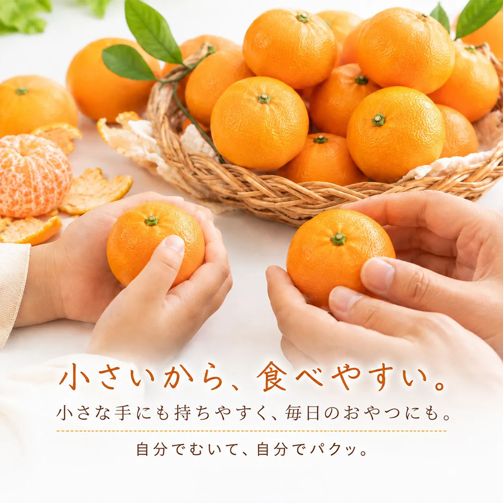温州みかん 小粒っ子 1kg 傷み補償 300g 柑橘 果物 フルーツ 不揃い オレンジ 訳アリ 蜜柑 果実 みかん 極早生 早生 晩生 光センサー選果 みかん職人武田屋 高知県 土佐清水市【R01789】