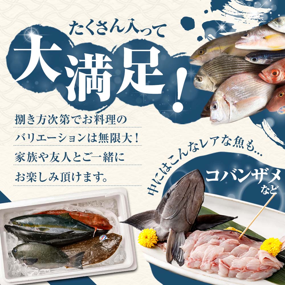 旬の朝獲れ鮮魚詰め合わせ（プレミアム）【2026年5月配送】【以布利定置網　漁師直送】朝獲れ 旬 鮮魚 魚介 海鮮 魚 さかな せんぎょ 鮮魚セット 詰め合わせ おまかせ お任せ【S00819-5】