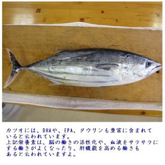 簡単!切って盛り付けるだけ　鰹のタタキ２節とこだわりのポン酢セット カツオのたたき 刺身 惣菜【R00362】