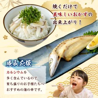 無添加 カマスの干物（３袋）計10枚～13枚入り 開き 小分け 冷凍 魚介 おつまみ 惣菜 おかず 焼き魚【R00020】