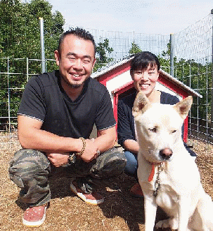 無添加ドッグフード：しかにくペレット １パック（100g）鹿肉 ペットフード ジビエ 愛犬 イヌ用 ドライフード 無添加 たんぱく質 タンパク質 高たんぱく 100ｇ 【R00055】