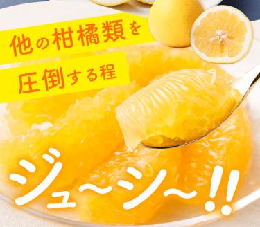 【減農薬 訳あり】谷川果樹園の河内晩柑4キロ（サイズ混合）フルーツ みかん 柑橘 果物  夏文旦 夏ぶんたん バンカン 八朔 家庭用【R00144】