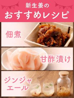 【先行受付】新生姜２kg 季節限定 農家直送 2キロ 甘酢漬け ガリ 佃煮 ジンジャーエール しょうが ショウガ 佃煮 甘酢漬け 食品 新鮮 温まる 温活 冷え対策 国産【R01548】