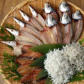浜口海産物店のじゃこ2種と干物3種セット　シラス 無添加 釜揚げ しらす丼 ちりめん丼【R00283】