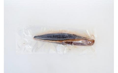 土佐の藁焼き カツオのたたき 冷凍 ２節（計約700g～）漁師町伝統タレ・にんにく・ネギ付 鰹 かつお 刺身 タタキ おつまみ おかず 惣菜 新鮮 海鮮 魚介 真空 冷凍 配送【R00517】