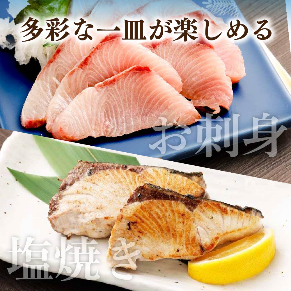 【先行受付】土佐清水産天然ぶり まるごと１本（5kg～8kg）下処理なし（内臓除去無し）【※着日指定不可※】鮮魚 鰤 ブリ ぶり大根 刺身 ぶりしゃぶ 天然【R00873】