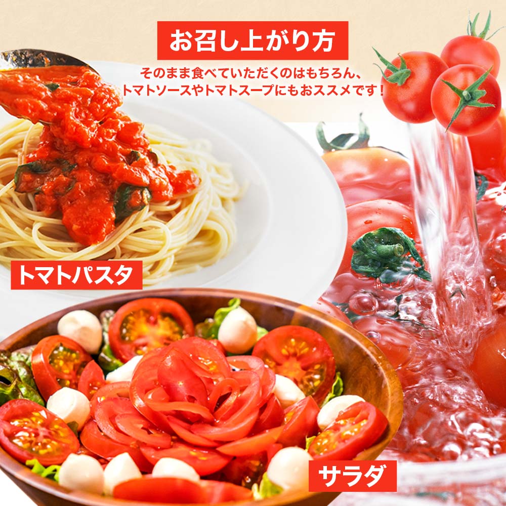 トマト魂！峯本の贅沢フルティカトマト（中玉サイズ）3kg 3キロ 　ミディトマト フルーツトマト トマト ふるさと納税 フルティカ とまと サラダ 野菜 美味しい 甘い【R01038】