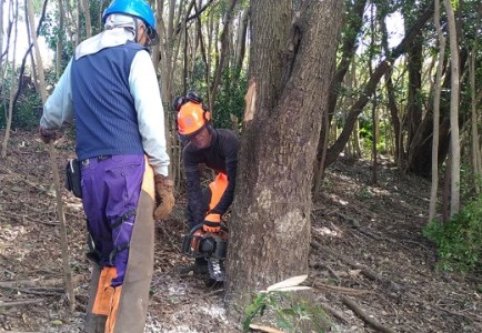 ウバメガシの薪1箱（18kg 長さ約30cm）うばめがし アウトドア キャンプ ストーブ 暖炉 災害備蓄 防災グッズ 薪ストーブ 囲炉裏 窯  バーベキュー BBQ 木材 燃料 自然保護【R01049】: 土佐清水市ANAのふるさと納税