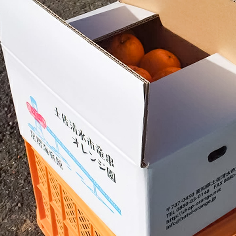 【令和８年発送】＜訳あり＞ ぽんかん20kg（オレンジ園） デコポンの親 みかん ミカン 果物 果実 柑橘 フルーツ ポンカン でこぽん おやつ デザート 甘い 美味しい 家庭用 名物 国産【R01082】