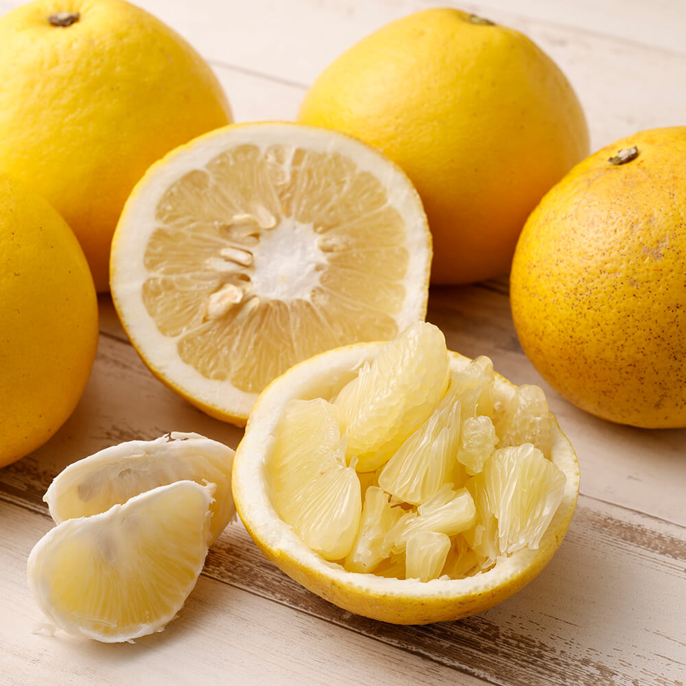 【令和８年発送】＜訳あり＞オレンジ園の土佐文旦５kg  柑橘 フルーツ ミカン みかん 蜜柑 ザボン ぶんたん ブンタン 果物 くだもの 果汁 おやつ デザート 食品 甘い 酸味【R01085】