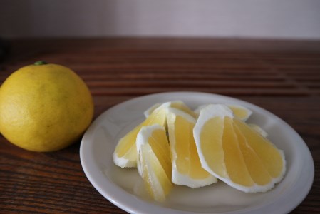 R8.4月中旬以降発送 家庭用だけど家庭用じゃない!? 訳あり 小夏 10kg 日向夏 みかん ミカン 柑橘 フルーツ 果物 果実 こなつ コナツ ニューサマーオレンジ おいしい 美味しい ワケアリ 自宅用 ご家庭用 高知 井村農園【R01493】