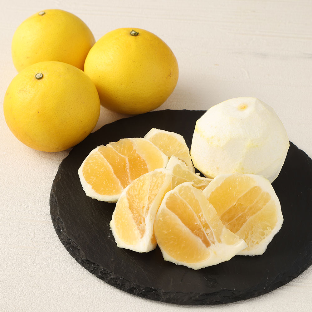 【 令和８年4月発送】<訳あり>谷川果樹園の小夏3kg 日向夏 みかん 柑橘 フルーツ こなつ ニューサマーオレンジ  果物 美味しい ワケあり 訳 自宅用 おやつ  高知 【R01146】