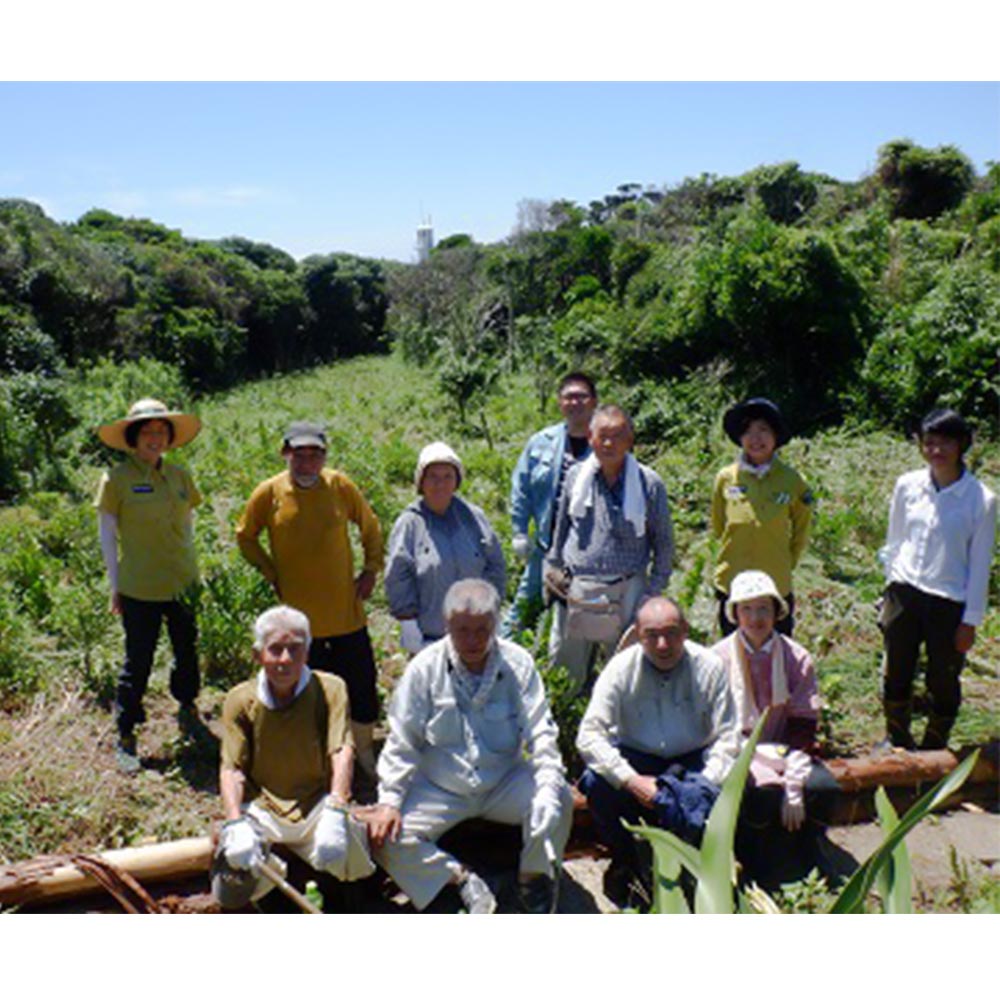 一括寄附で4つの事業を応援！返礼品なし 100,000円（子ども食堂・引退馬の余生応援・椿の森再生・まちづくり支援）10万円 子供 子育て 福祉 動物保護 自然保護 環境整備 教育 自然【R01226】