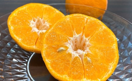 【R8年発送】＜訳あり＞ 柑橘バラエティーセット（５kg） みかん 果物 果実 フルーツ デザート 健康 美味しい お楽しみ 詰め合わせ 文旦 ぽんかん はるか 麗紅 10000円 1万円【R01374】