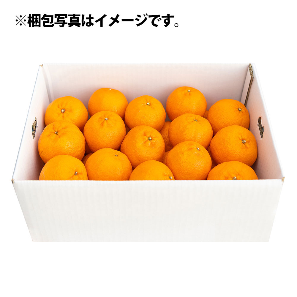 【令和8年発送】ぽんかん ３kg（谷川果樹園）デコポンの親  みかん 蜜柑 ミカン 不知火 しらぬい 柑橘 かんきつ ポンカン フルーツ オレンジ 果物 くだもの 果汁 甘い【R01376】