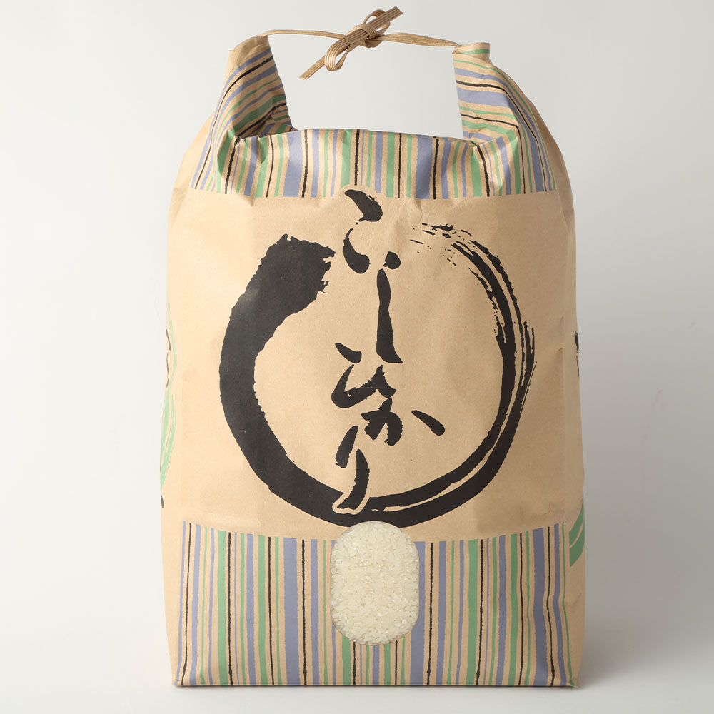 令和７年産 コシヒカリ精米5kg（1袋）白米 お米 ご飯 米 kome こめ コシヒカリ こしひかり 高知県産 5キロ 故郷納税 返礼品 高知 土佐清水市 【R01408】