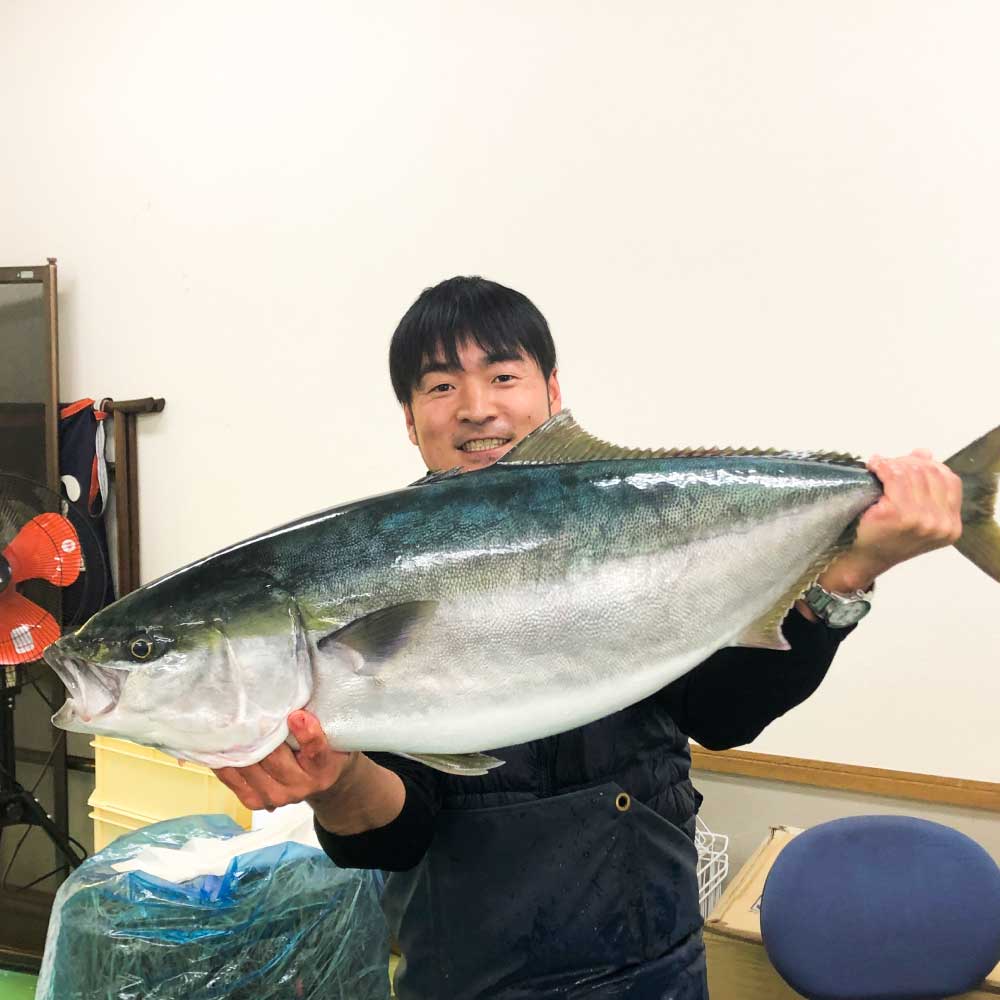 ブリの藁焼きたたき 3本（3~4人前）ぶり 鰤 わら焼き タタキ 魚 海鮮 シーフード 魚介 刺身 新鮮【R01421】