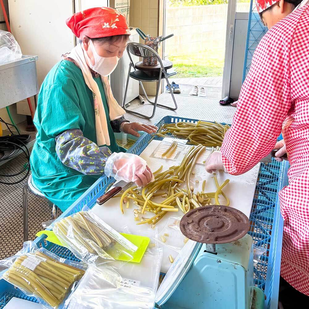 ツワブキ 水煮 400g×4パック 1.6kg 1.6キロ 山菜 下処理済み 野菜 春の食材 煮物 佃煮 料理 石蕗 食品 お取り寄せ 真空 冷凍 配送【R01450】