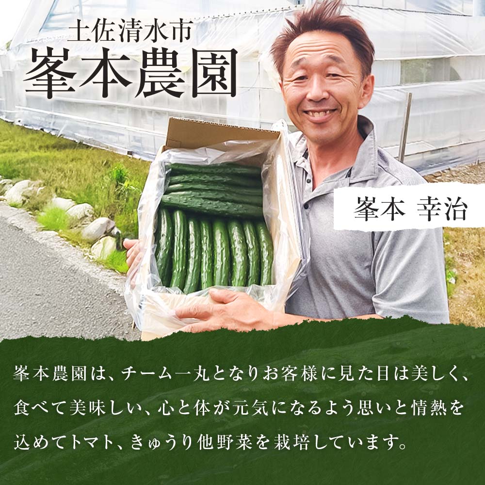 きゅうり 5kg 5キロ キュウリ 野菜 新鮮 サラダ 漬物 浅漬け ぬか漬け 酢の物 炒め物 健康 高知県 土佐清水市【R01452】