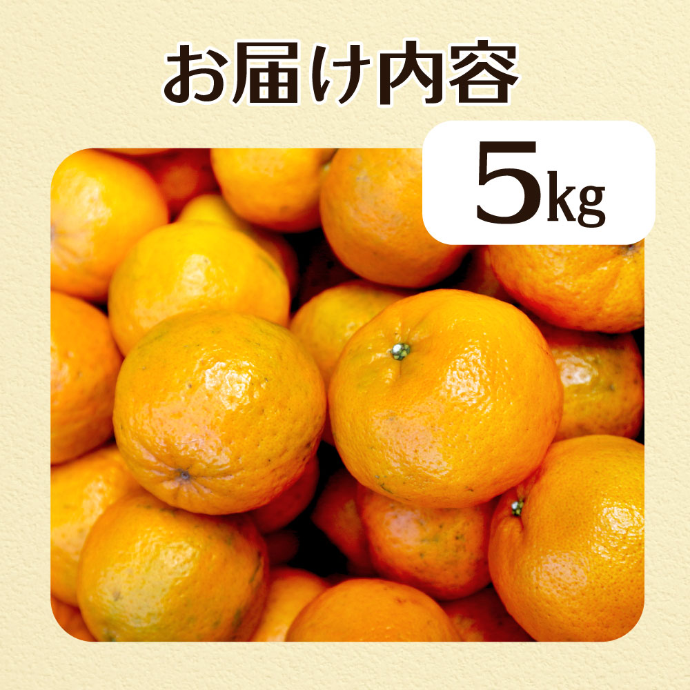 R8.1月下旬発送 規格外だけど規格外じゃない!? 訳あり 足摺ぽんかん 5kg デコポンの親 みかん 柑橘 果物 果実 ミカン ポンカン フルーツ おやつ デザート 5キロ 美味しい 井村農園【R01485】