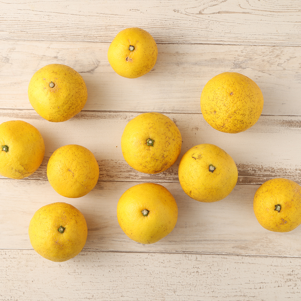 【先行予約】R8発送＜訳あり＞オレンジ園の小夏2.5kg 日向夏 みかん 柑橘 フルーツ 果物 こなつ ﾆｭｰｻﾏｰｵﾚﾝｼﾞ  旬 2.5キロ 美味しい 食感 常温 国産 訳あり 高知県 土佐清水市【R01499】