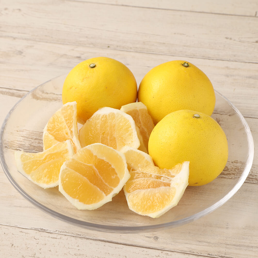 R8発送 先行予約 オレンジ園の小夏2.5kg 日向夏 みかん 柑橘 フルーツ 果物 こなつ ﾆｭｰｻﾏｰｵﾚﾝｼﾞ 旬 2.5キロ 美味しい 食感 スッキリ ギフト 常温 国産 高知県 土佐清水市【R01500】