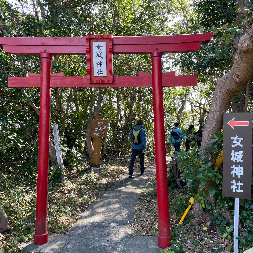 松尾地区 集落歩きツアー 2人分 観光 地元ガイド付き チケット アコウ 松尾天満宮 足摺半島 家族旅行 旅行 国内旅行 自然 神社 文化 徒歩 高知県 高知 土佐清水市【R01505】