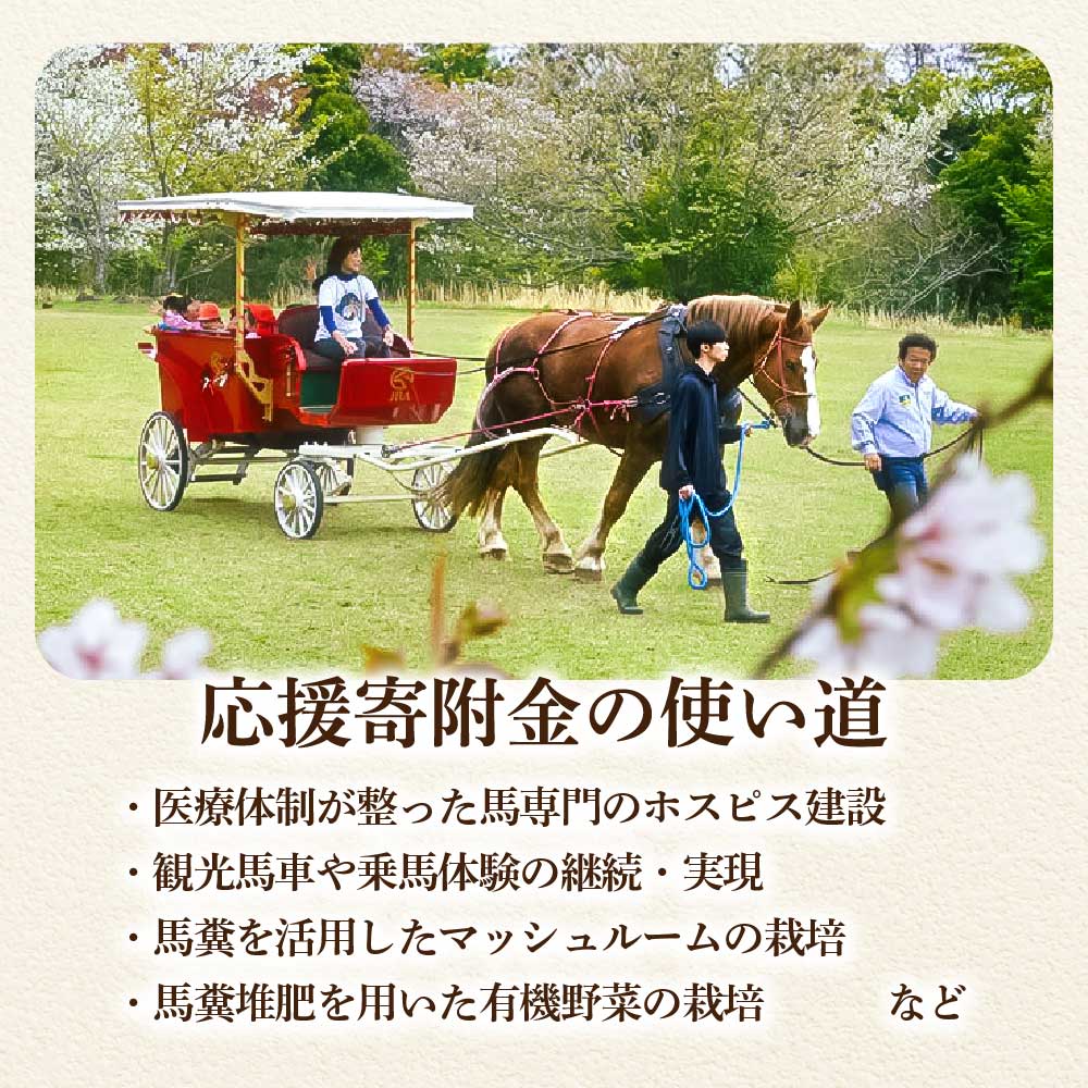 引退馬 余生支援 100,000,000円コース 返礼品なし 養老馬 競走馬 引退競走馬 馬支援 競馬 馬 うま ウマ 馬支援 動物 あしずりダディー牧場 高知県 土佐清水市【R01535】