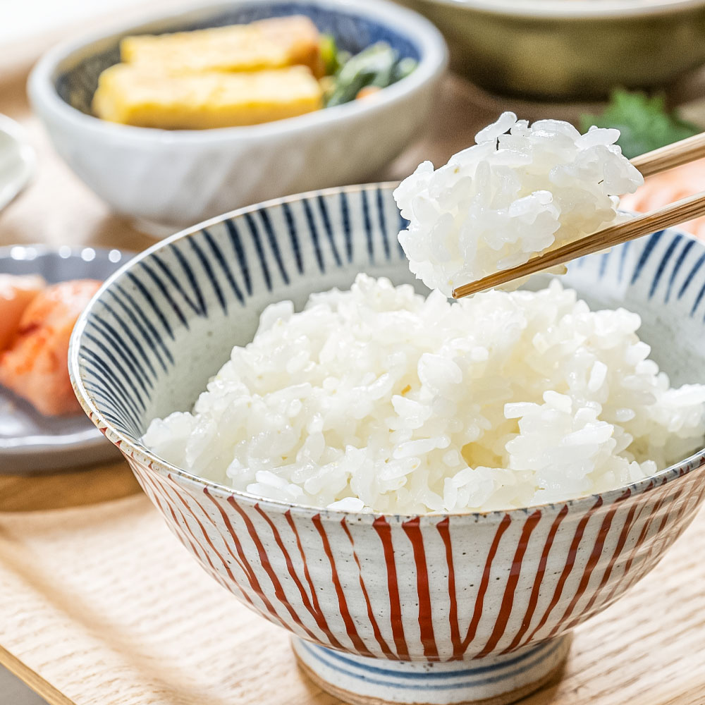 農家直送　令和8年産　コシヒカリ　精米　５キロ 【R01590】