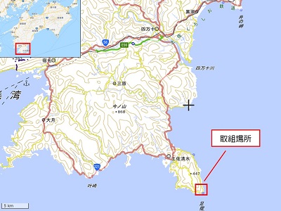 足摺ヤブ椿再生プロジェクト 応援一口 10,000,000円（3,000,000円分） ※返礼品なし※ 自然保護 椿 つばき ツバキ 藪椿 ヤブツバキ クラウドファンディング 募金 環境保護 SDGs 高知県【R01756】