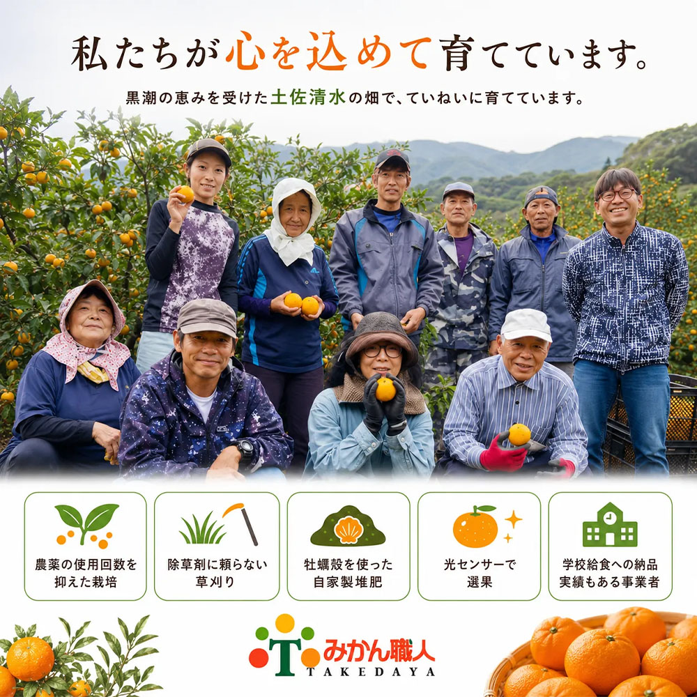 温州みかん 訳あり 1kg 傷み補償 300g 柑橘 果物 フルーツ 不揃い オレンジ 訳アリ 蜜柑 果実 みかん 極早生 早生 晩生 光センサー選果 みかん職人武田屋 高知県 土佐清水市【R01786】
