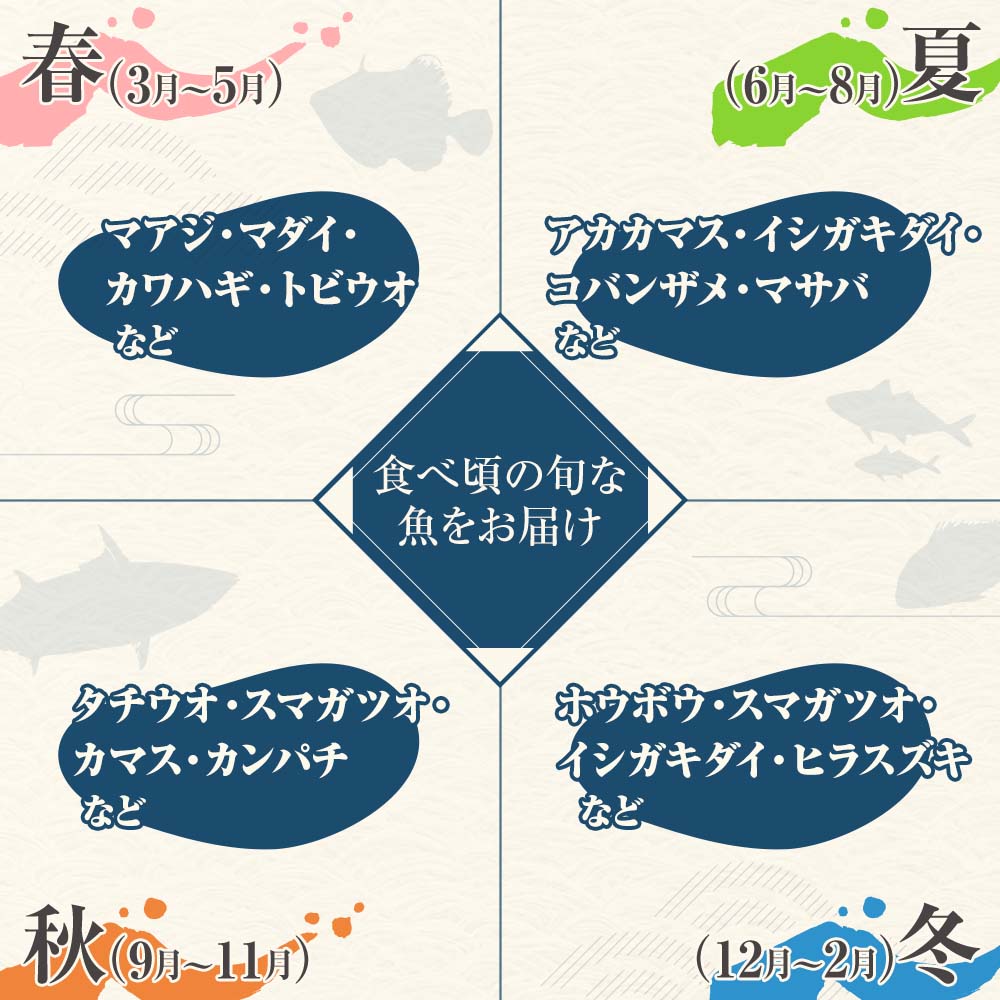 旬の朝獲れ鮮魚詰め合わせ 2026年1月配送【以布利定置網　漁師直送】朝獲れ 旬 鮮魚 魚介 海鮮 魚 さかな せんぎょ 鮮魚セット 詰め合わせ おまかせ お任せ【S00818-1】