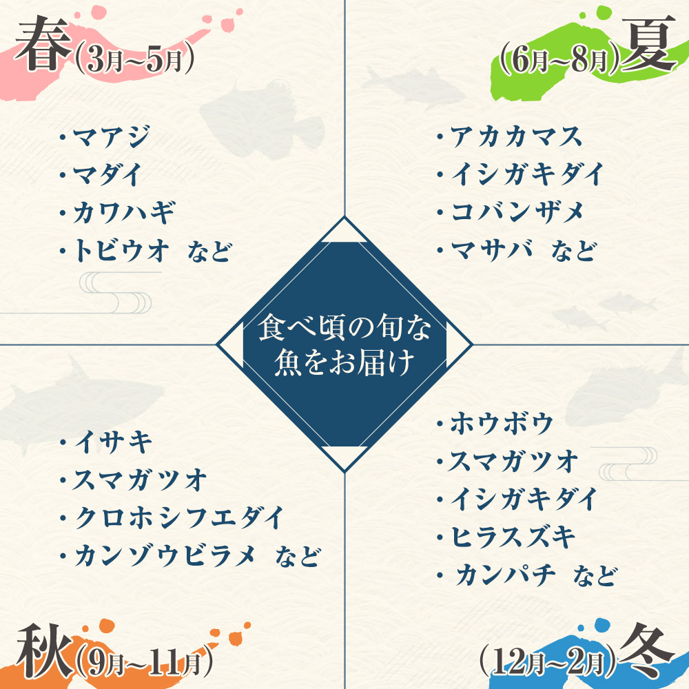 旬の朝獲れ鮮魚詰め合わせ（プレミアム）【2026年7月配送】【以布利定置網　漁師直送】朝獲れ 旬 鮮魚 魚介 海鮮 魚 さかな せんぎょ 鮮魚セット 詰め合わせ おまかせ お任せ【S00819-7】