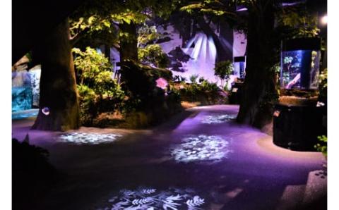 おもてなしタクシーチケット⑥「竜串・見残しコース」3.5時間【R00715】