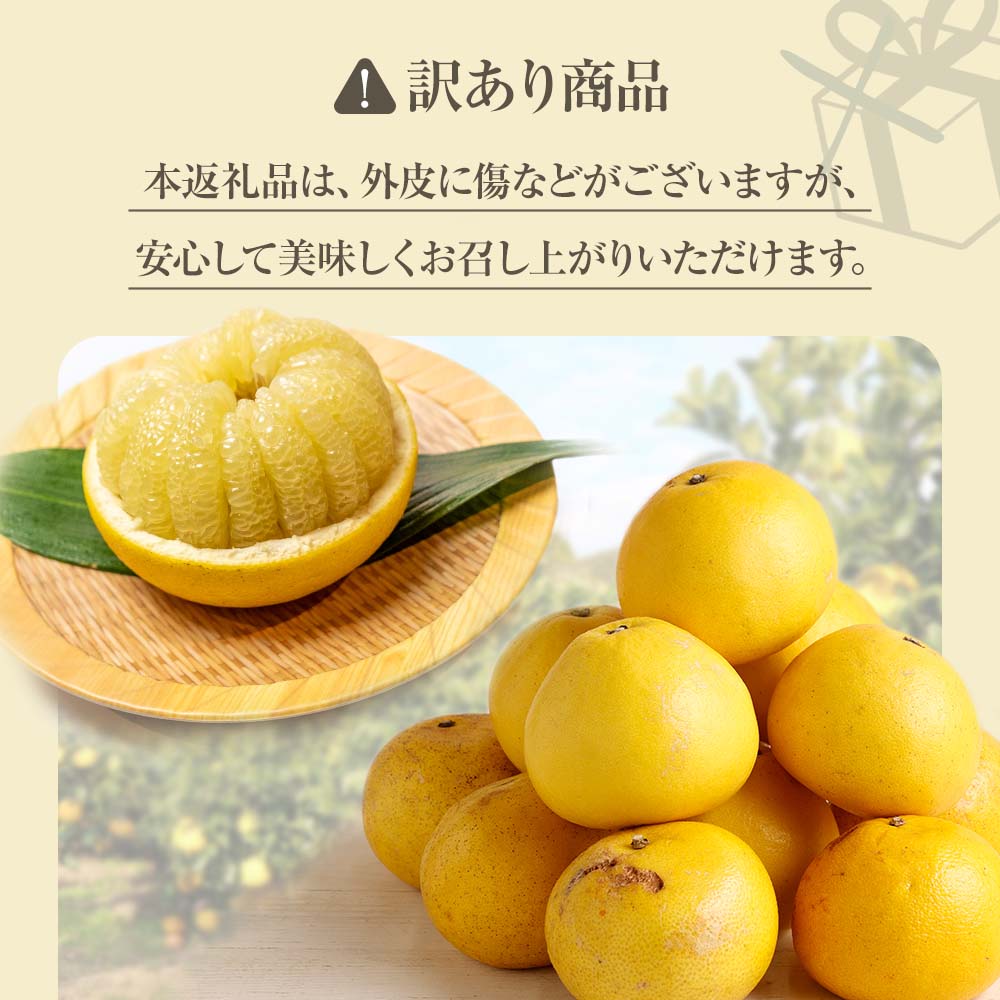 【令和８年発送】＜ 訳あり＞ オレンジ園の柑橘3種（ぽんかん・文旦・小夏）各5kg 3回定期便 ポンカン ぶんたん こなつ 果物 蜜柑 みかん ミカン 柑橘 フルーツ デザート 国産 常温 配送【J00102】