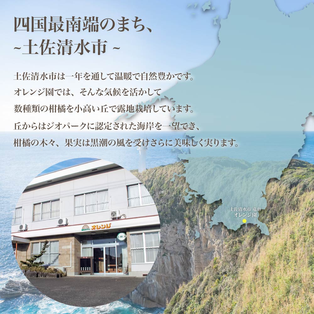 【令和８年発送】 オレンジ園の柑橘3種（ぽんかん・文旦・小夏）各10kg 3回定期便 ポンカン ぶんたん こなつ 果物 蜜柑 みかん ミカン 柑橘 フルーツ デザート 国産 常温 配送【J00105】