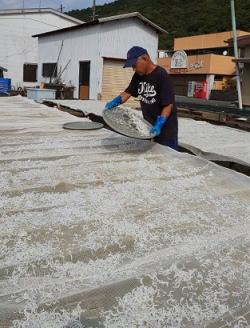 岡本水産加工のちりめん＆かちりじゃこセット（各種2袋）冷凍便 シラス 無添加 釜揚げ しらす丼 ちりめん丼【R00022】