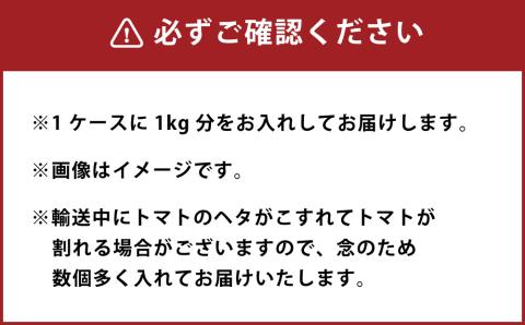 完熟フルティカトマト１kg（中玉サイズ）天然地下水使用 　甘熟ミディトマト フルーツトマト とまと 1000g 1キロ 野菜 サラダ 料理 ギフト 国産 高知県 土佐清水市【R00130】