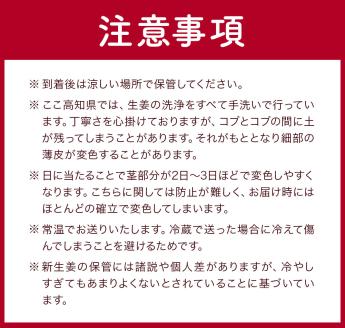 【先行受付】新生姜２kg 季節限定 農家直送 2キロ 甘酢漬け ガリ 佃煮 ジンジャーエール しょうが ショウガ 佃煮 甘酢漬け 食品 新鮮 温まる 温活 冷え対策 国産【R01548】