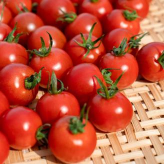 完熟フルティカトマト2kg（中玉サイズ）天然地下水使用 　 甘熟ミディトマト フルーツトマト とまと 2000g 2キロ 野菜 サラダ 料理 ギフト 国産 高知県 土佐清水市【R00286】