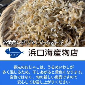 浜口海産物店のちりめんじゃこ（140ｇ× 6袋）総量840g 満腹セット シラス 無添加 釜揚げ しらす丼 ちりめん丼 天日干し しらす丼 新鮮 海鮮 天然 カルシウム おつまみ 魚 こども 健康 送料無料 冷凍配送 小分け 個包装【R01079】