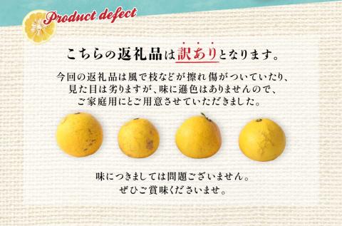 【先行予約】<訳あり>  早川農園の足摺小夏 10kg 日向夏 みかん 柑橘 フルーツ こなつ 小夏 ニューサマーオレンジ ワケあり 訳 美味しい おやつ 果物 高知 【R00435】