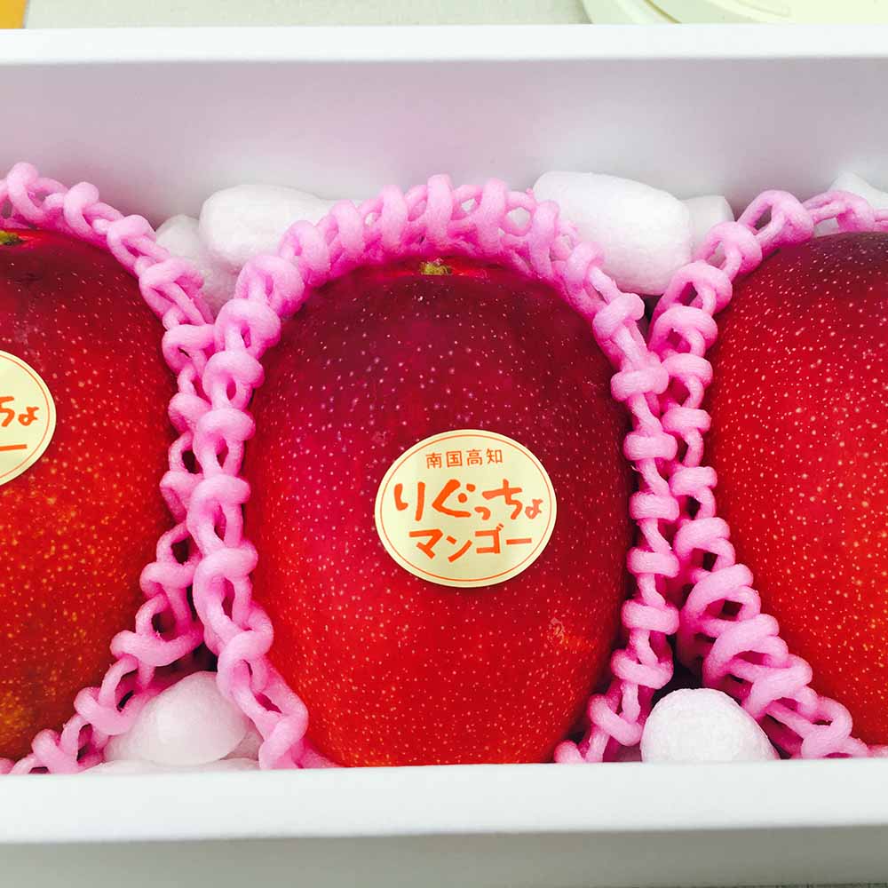 令和8年発送  完熟アップルマンゴー１kg（２個～４個入り）アーウィン種 南国フルーツ 果物 果汁 濃厚  樹上完熟マンゴー ギフト プレゼント 送料無料【R00520】